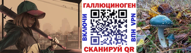сайты даркнета телеграм  Пионерский  Галлюциногенные грибы прущие грибы 